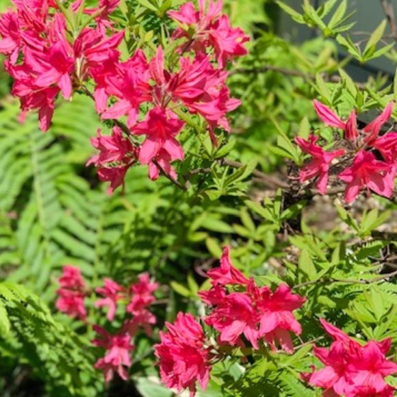 Just a required profile so I can shop - Picture 1 of 1